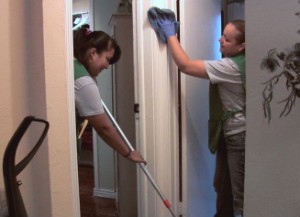 Domestic Clenaers