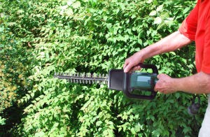 hedge-trimming-blackheath