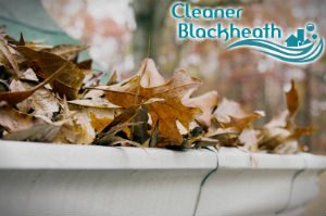 gutter-cleaners-blackheath